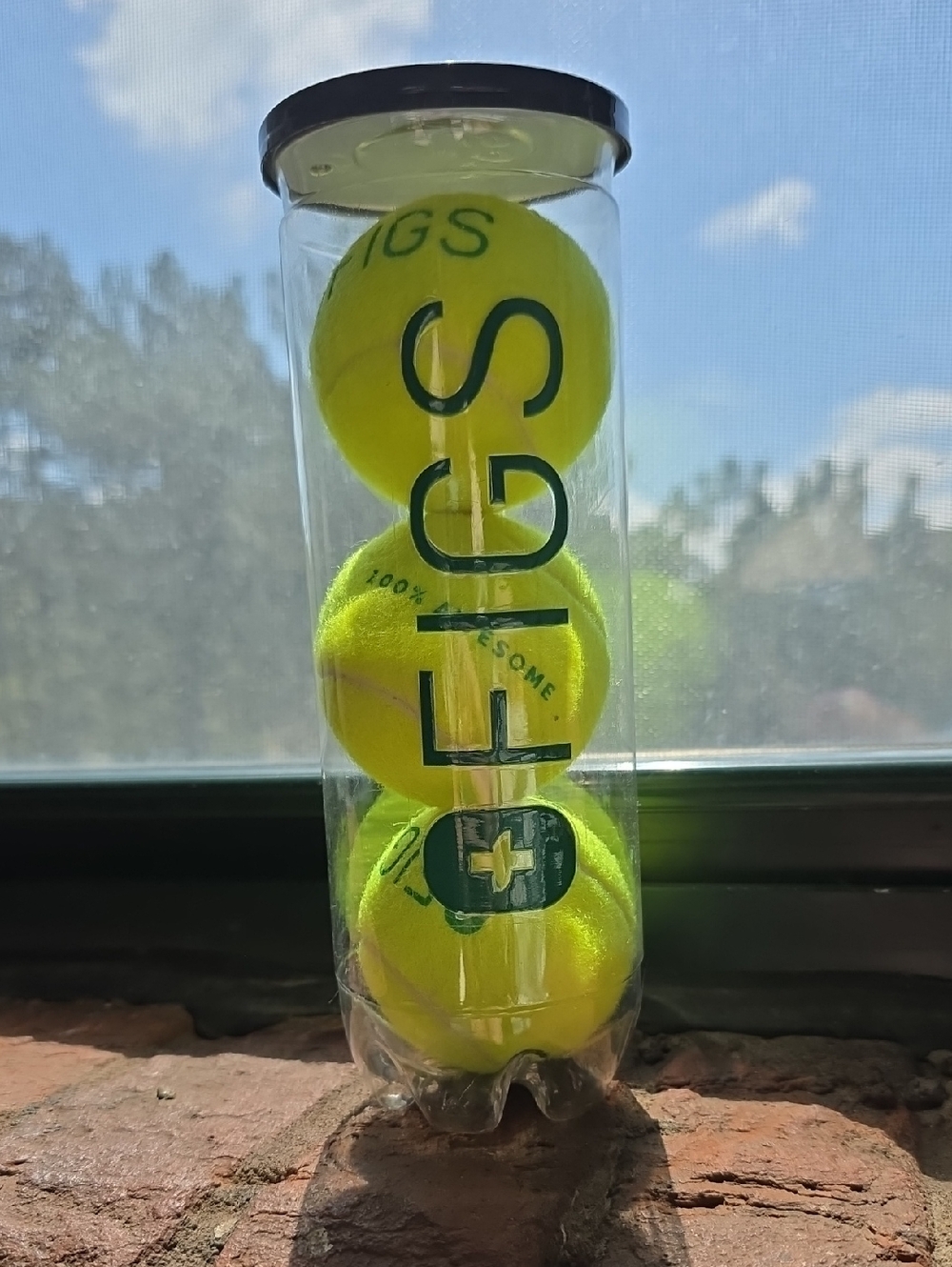 OFIGS Tennis Ball Can - Neon Yellow Balls (3-Pack)